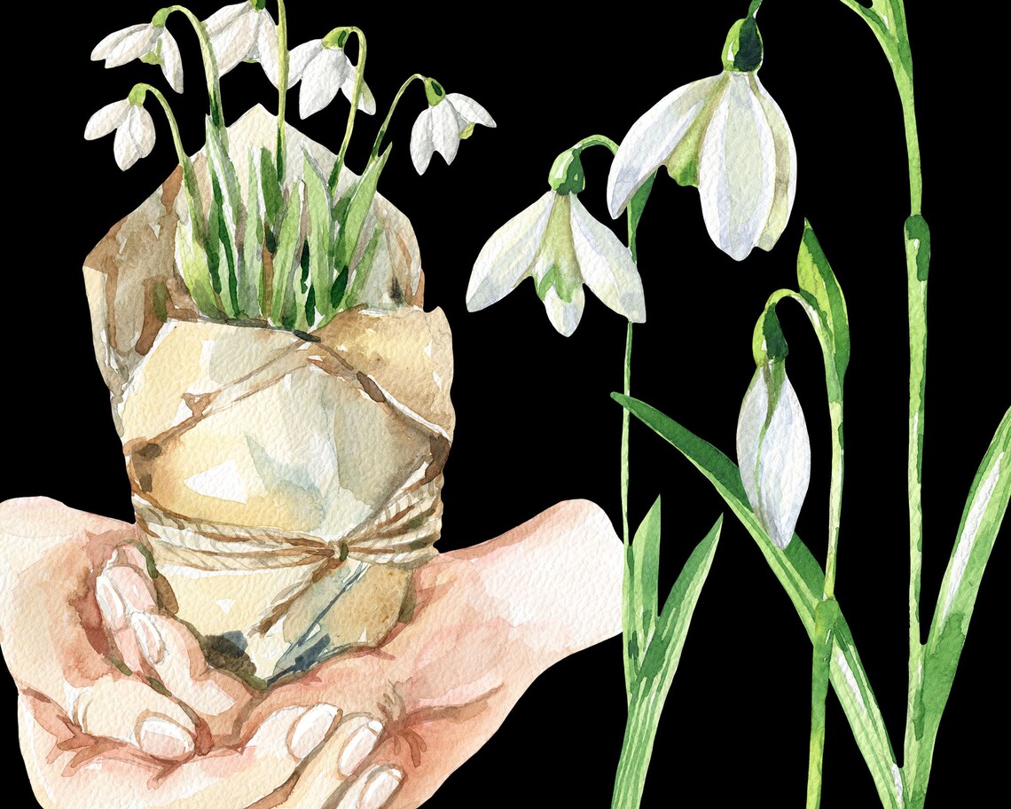 Watercolor Clipart Spring Watercolor Clipart Easter Snowdrop - Etsy