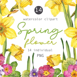 Aquarelle Jonquille floral clipart Pâques Clip art Fleurs de printemps Jaune Narcisse Illustration Botanique Digital Invitation Logo design png