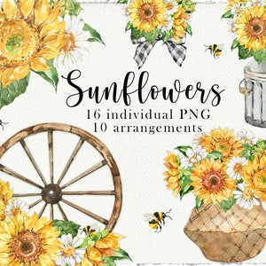 Sunflower clipart watercolor Rustic flowers png Bouquet clipart watercolor flowers png Farmhouse decor rustic country digital