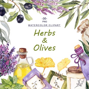 Watercolor Herbs and Olives Clipart Watercolour Floral clip art Eucalyptus clipart Garden rosemary olives lavender leaves digital PNG