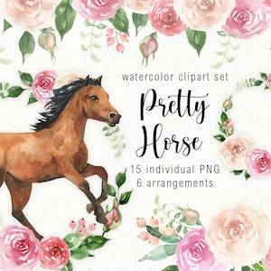 Aquarel paard clipart dierenset westerse clip art paard clipart bloemen boeketten westerse uitnodiging logo ontwerp baby shower digitale png