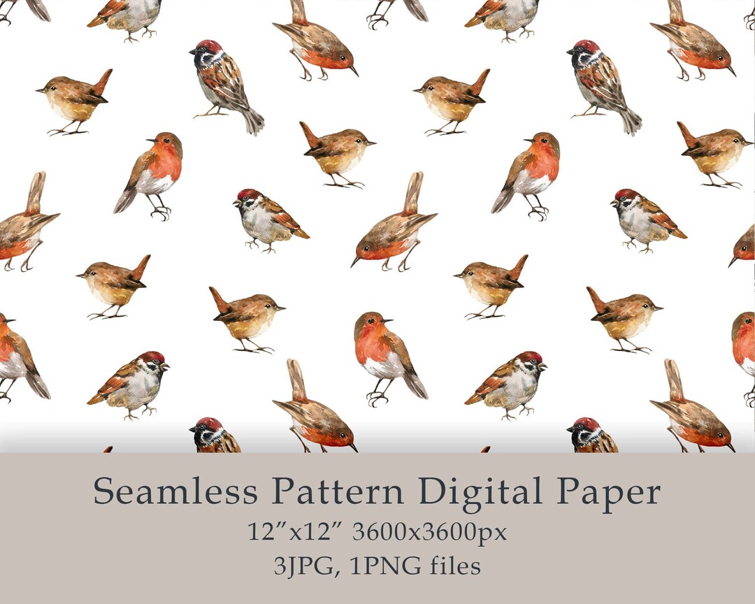 Watercolor Cute Birds Seamless Pattern Digital Paper Birds Birthday Png ...