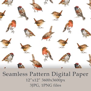 Aquarell niedliche Vögel nahtlose Muster digitale Papier Vögel Geburtstag png niedliche Tiere Rotkehlchen Spatz Ostern Frühling Dekor Digital JPG PNG