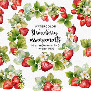Arrangements de fraise aquarelle clipart fraise clip art aquarelle png fruit clipart png aquarelle png téléchargement numérique