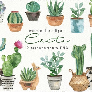 Aquarela Cactos Clipart Casa aquarela planta Suculentas clipart digital planta do deserto vegetação png planejador clipart Decoração de casa de verão png