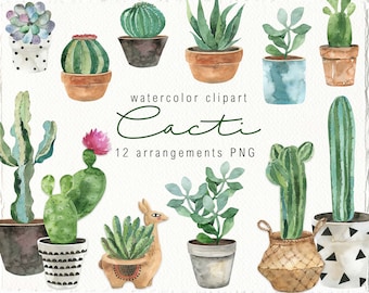 Watercolor Cacti Clipart Home watercolour plant Succulents digital clipart desert plant greenery png planner clipart Summer home decor png