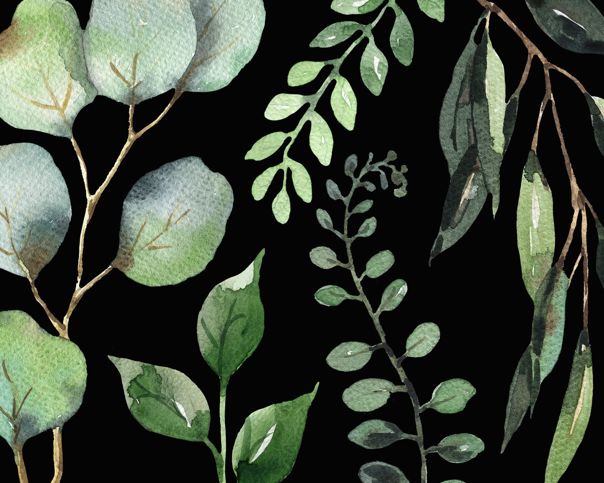 Watercolor Greenery Clipart PNG • Eucalyptus Leaves and Foliage Bundle ...