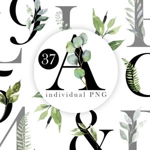 Watercolor Greenery Alphabet Foliage Clipart Forest Leaves Baby Eucalyptus PNG Wedding Invitations Hand Painted Green Leaves Branches