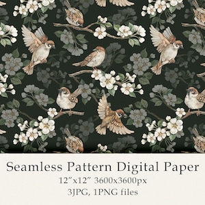Aquarell Spatzen im Frühlingsgarten Nahtlose Muster Digital Papier Vögel Geburtstag Niedliche Tiere Spatzen Bauernhaus Dekor Digital PNG JPG