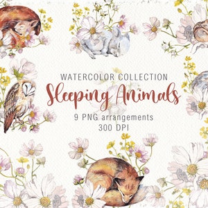 Aquarelle mignon animaux endormis Arrangements clipart anniversaire carte d'invitation enfants fleurs hérisson écureuil renard hibou souris PNG numérique