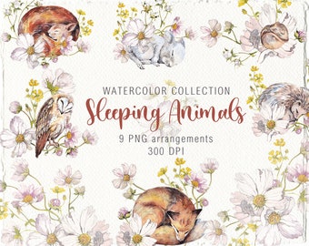 Watercolor Cute Sleeping Animals Arrangements clipart Birthday Invitation Card Children Flowers Hedgehog Squirrel Fox Owl Mouse Digital PNG