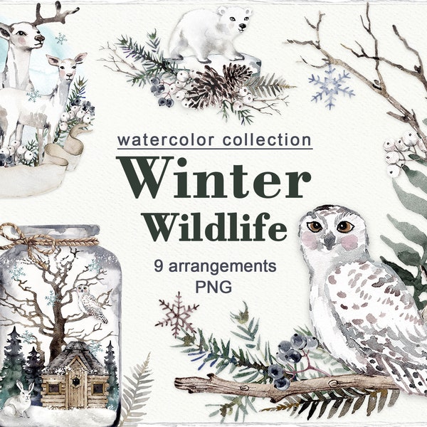 Aquarelle Animaux arctiques clipart Arrangements de Noël Hiver Animaux sauvages cerfs des neiges ours polaire Décor d’hiver Téléchargement numérique PNG