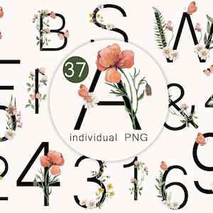 Aquarela Flores Silvestres Letras Do Alfabeto Floral Clipart Números Alfabeto Botânico Folhas Decoração De Casamento Pintados À Mão Folhas Verdes Ramos
