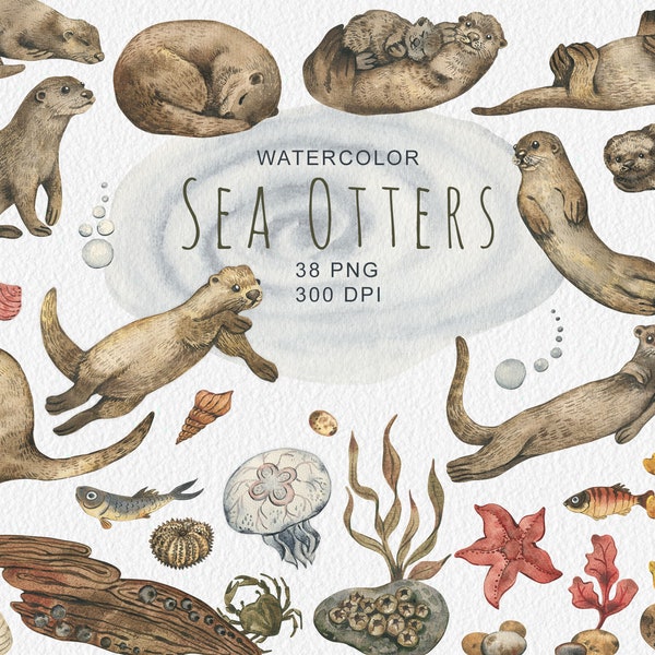 Watercolor Sea Otters clipart Cute Animals Clip art Baby  animals Sea birthday Baby shower Birthday party Scrapbooking set PNG