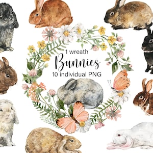 Aquarell Hasen Clipart Tiere Bauernhof Hase png Süße Clipart Aquarell Blumen Clipart Wildblumen Kranz Aquarell Logo digital