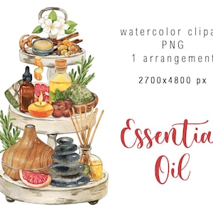 Disposizione dell'olio essenziale dell'acquerello Clipart Erbe Clip art floreale Olio naturale Clipart Diffusore Bottiglie di olio Rosmarino download digitale PNG