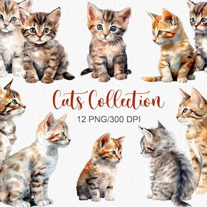 Aquarelle chats Collection animal chaton Clipart Pet chats clipart mignon clipart Pet aquarelle chats portrait anniversaire numérique png