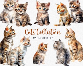 Watercolor Cats Collection animal Kitten Clipart Pet cats clipart Cute clipart Pet watercolour Cats portrait Birthday digital png