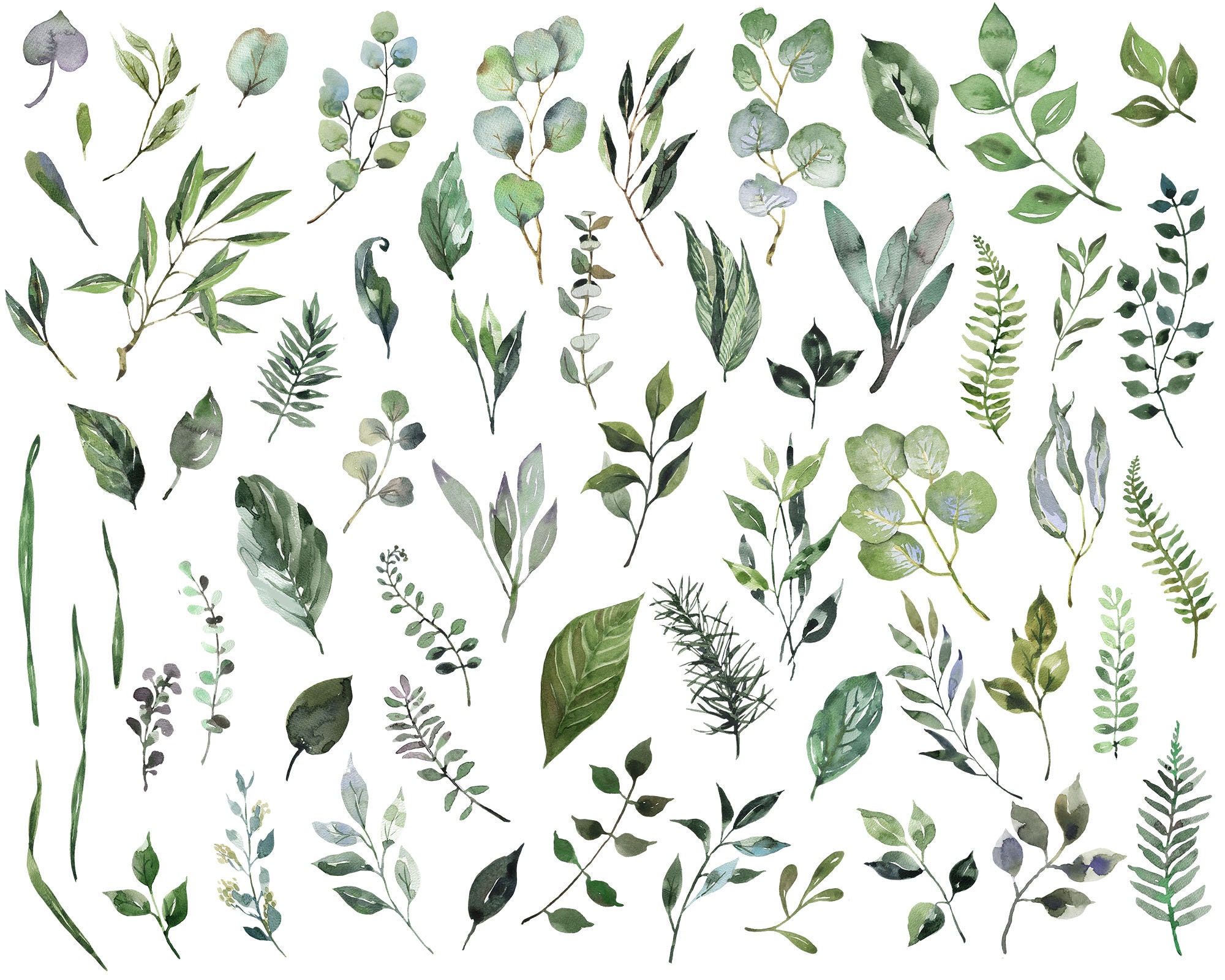 Watercolor Greenery Clipart PNG • Eucalyptus Leaves and Foliage Bundle ...
