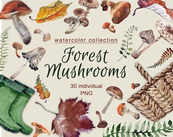 May include: Watercolor illustration of a collection of forest mushrooms, leaves, ferns, and boots. The illustration is titled "Forest Mushrooms" and includes the text "30 individual PNG".