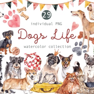 Aquarell Clipart Tier Hund Clipart Aquarell Clipart Haustier Hunde Clipart Niedliche Clipart Haustier Aquarell Malerei Hunde Portrait Geburtstag png