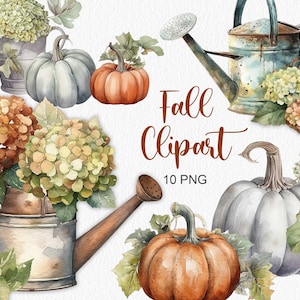 Aquarelle automne clipart hortensias fleurs sèches citrouilles Floral Clipart automne ferme clipart décor rustique vintage Thanksgiving PNG