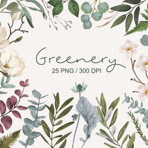 Disegnato a mano verde foglie fogliame clipart foresta foglie bambino eucalipto decor inviti di nozze foglie verdi rami digitali png