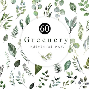 Aquarel Groen Bladeren Blad Clipart Forest Bladeren Baby Eucalyptus PNG Huwelijksuitnodigingen Handgeschilderde Groene Bladeren Takken Digitaal