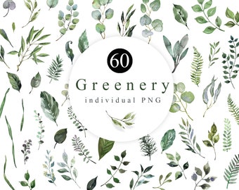 Watercolor Greenery Clipart PNG • Eucalyptus Leaves and Foliage Bundle • Botanical Clip Art for Wedding Invitation, Scrapbook, Download
