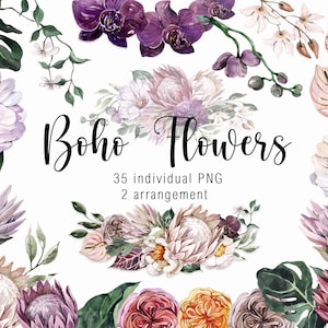 Aquarela Boho Flores Clipart Jardim Flores Selvagens Clip art Protea Tropical Verão Decoração de Casamento Chá de Bebê Dia das Mães Design de logotipo png