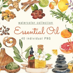 Aquarel etherische olie Clipart Kruiden Bloemige clip art Eucalyptus Natuurlijke Olie Clipart Diffuser Olie Flessen Tea Tree Kruidnagel Rozemarijn digitaal