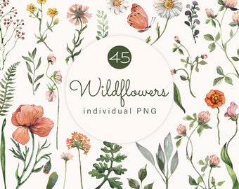 Watercolor Wildflowers Clipart Set, Rustic Floral PNG (Digital Download)