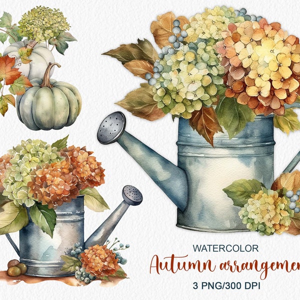 Watercolor Autumn arrangements Hydrangeas flowers Floral Clipart Autumn farmhouse clipart Rustic decor Vintage Thanksgiving PNG