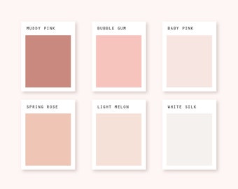 Polymer Clay Color Recipe - Valentine's Day - Polymer Clay Color Guide- Sculpey Clay Color Mixing - Digital download - Pink Palette