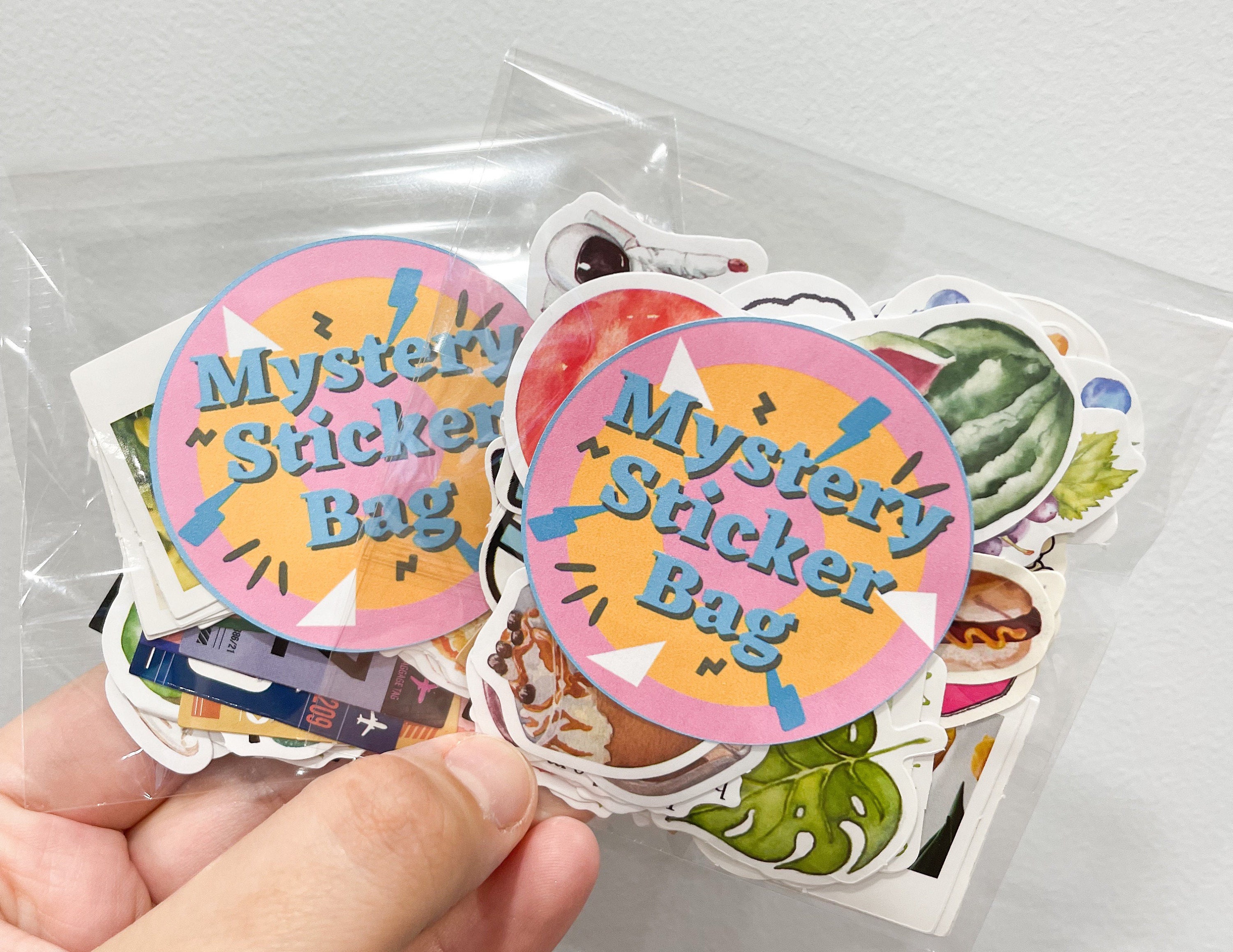Mystery Sticker Bag Etsy