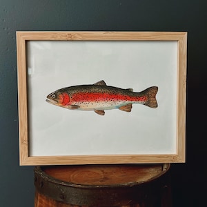 Rainbow Trout Watercolour Art, Rainbow Trout Fishing, Rainbow Trout Decor, Fisherman Decor, Gifts for Him, Wood Burned Fish, Fish Decor
