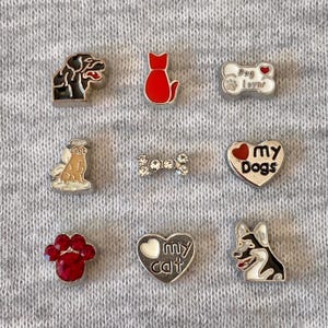 Può includere: Una collezione di ciondoli a tema animali domestici. Include una testa di cane nera e argento, un gatto rosso, un osso con "Dog Lover", un angelo cane, un osso di strass, un cuore con "my Dogs", un'impronta di zampa rossa, un cuore con "my cat" e una testa di cane in bianco e nero.