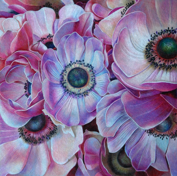 Fiori Rosa Anemoni Disegno Originale Arte Matite Colorate Etsy