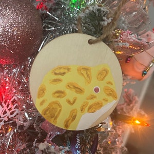 Albino Pacman Painting/ Ornament