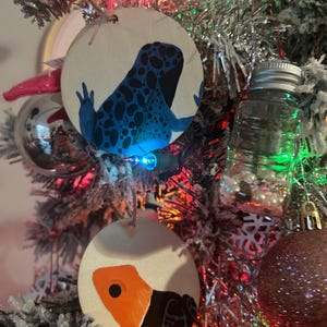 Dart Frog Painting/ Ornament
