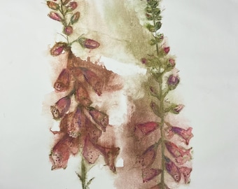 Wild Foxgloves Original watercolour monotype