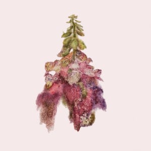May include: Watercolour painting of a foxglove flower in shades of pink, purple, and green. The flower has a tall, slender shape with bell-shaped blooms. The background is a soft, pale pink.