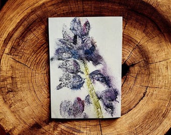 Bluebell A4 print
