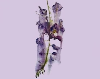 A4 Wallpaper Sample Wisteria