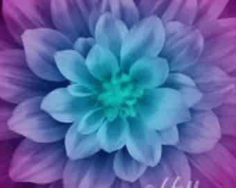 PANEL Dream Big S#P4389 A Hoffman Spectrum Print by Jeanie Sumrall-Ajero several colors to choose from!