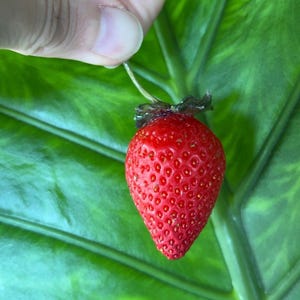 May include: A bright red strawberry with a green stem and leaves, held by a hand against a green leaf background.