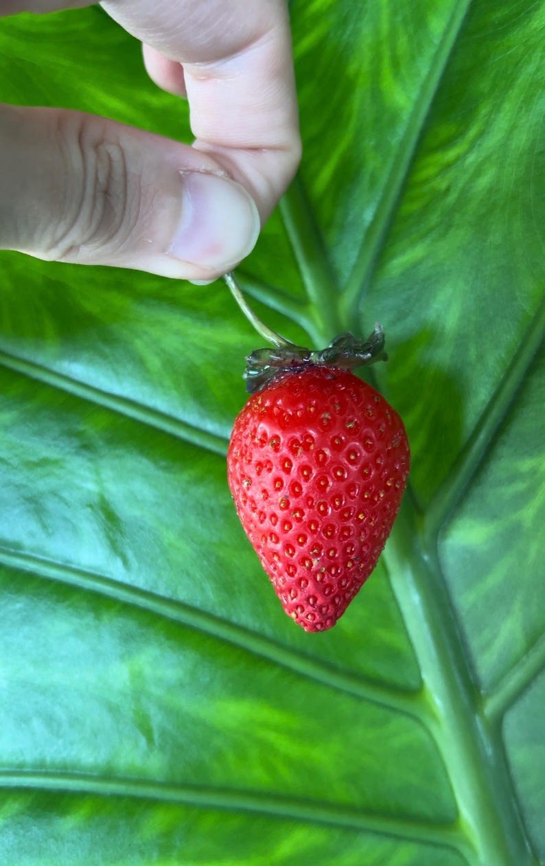 May include: A bright red strawberry with a green stem and leaves, held by a hand against a green leaf background.