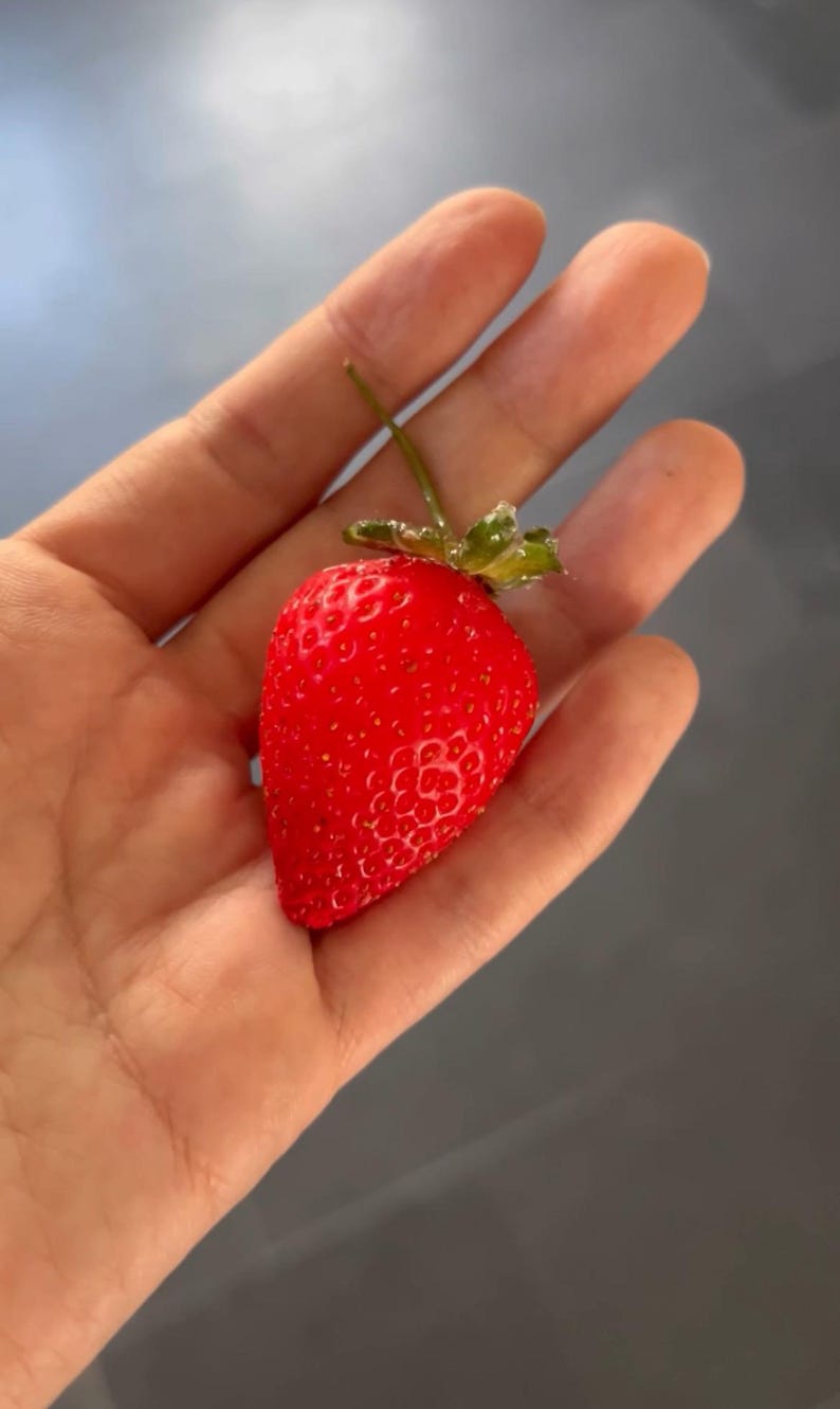 May include: A single, ripe red strawberry with green leaves and a stem, held in a person's hand.
