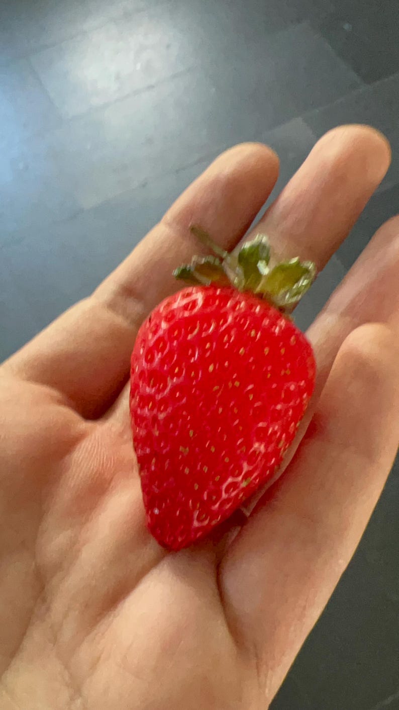 May include: A single, ripe red strawberry with green leaves in a hand.