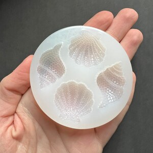 Multi-faceted shell conch silicone mold, seashells resin, cake decorating, chocolate, candy, soap silicone mould image 3